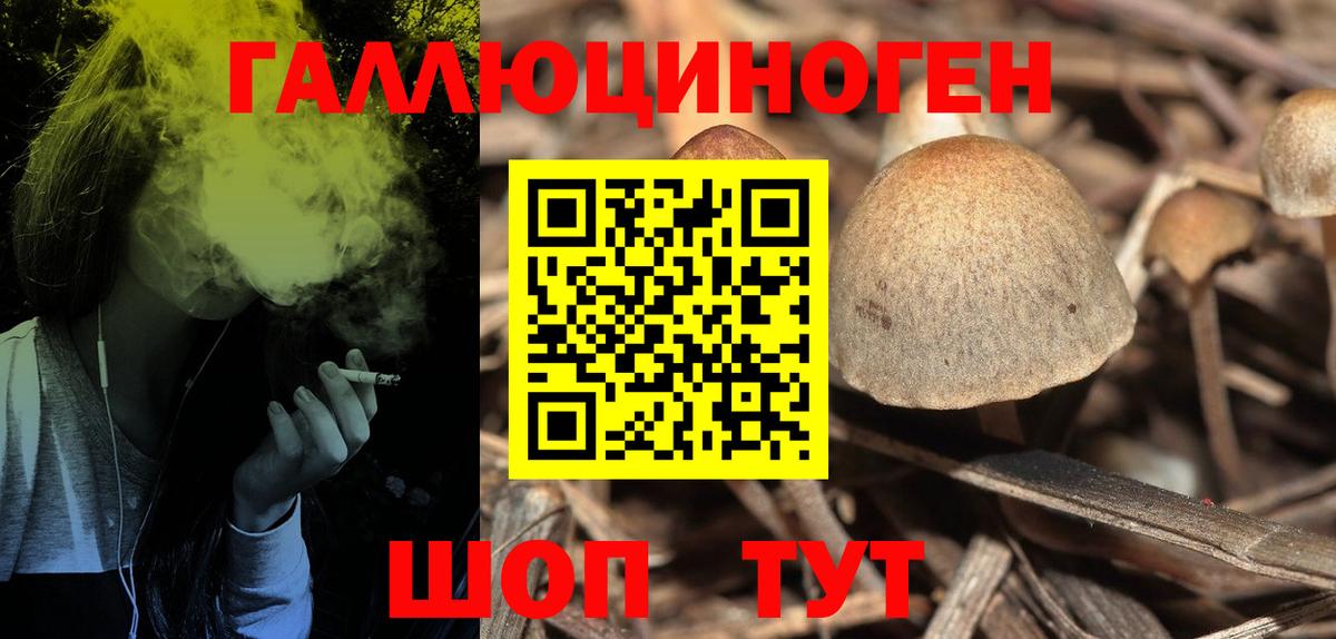 Галлюциногенные грибы MAGIC MUSHROOMS Тула